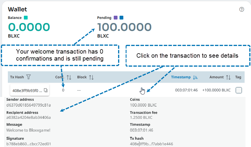 Pending transaction in the wallet Pending Transaction