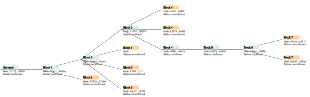 Blockchain Forks Blockchain Forks